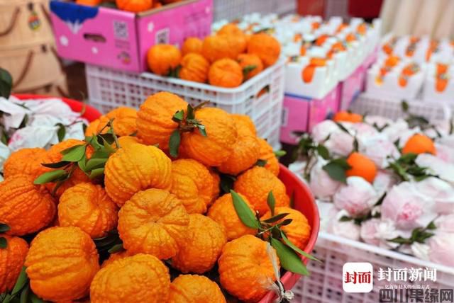 四川青神的“甜蜜”事业:线下127种橘子“开会”，线上电商卖货收入3.15亿